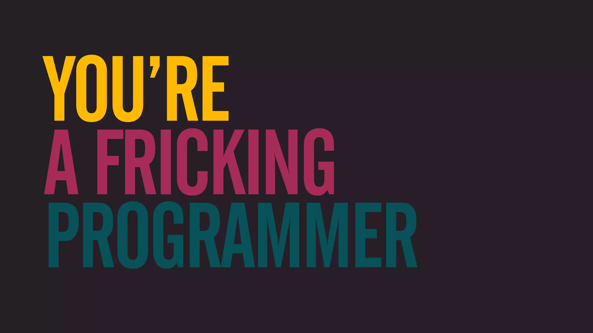 YOU’RE A FRICKING PROGRAMMER 