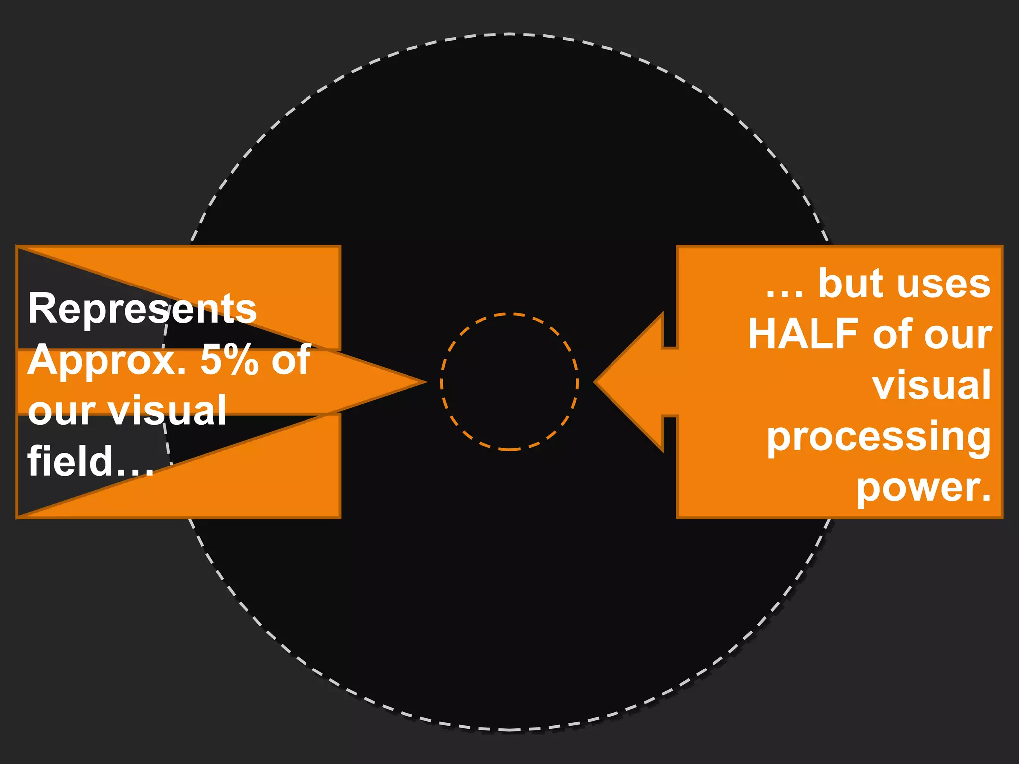 Represents Approx. 5% of our visual field… …  but uses HALF of our visual processing power. 