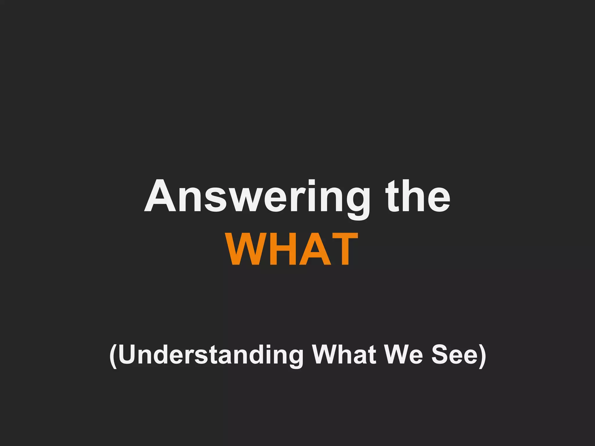 Answering the  WHAT   (Understanding What We See) 