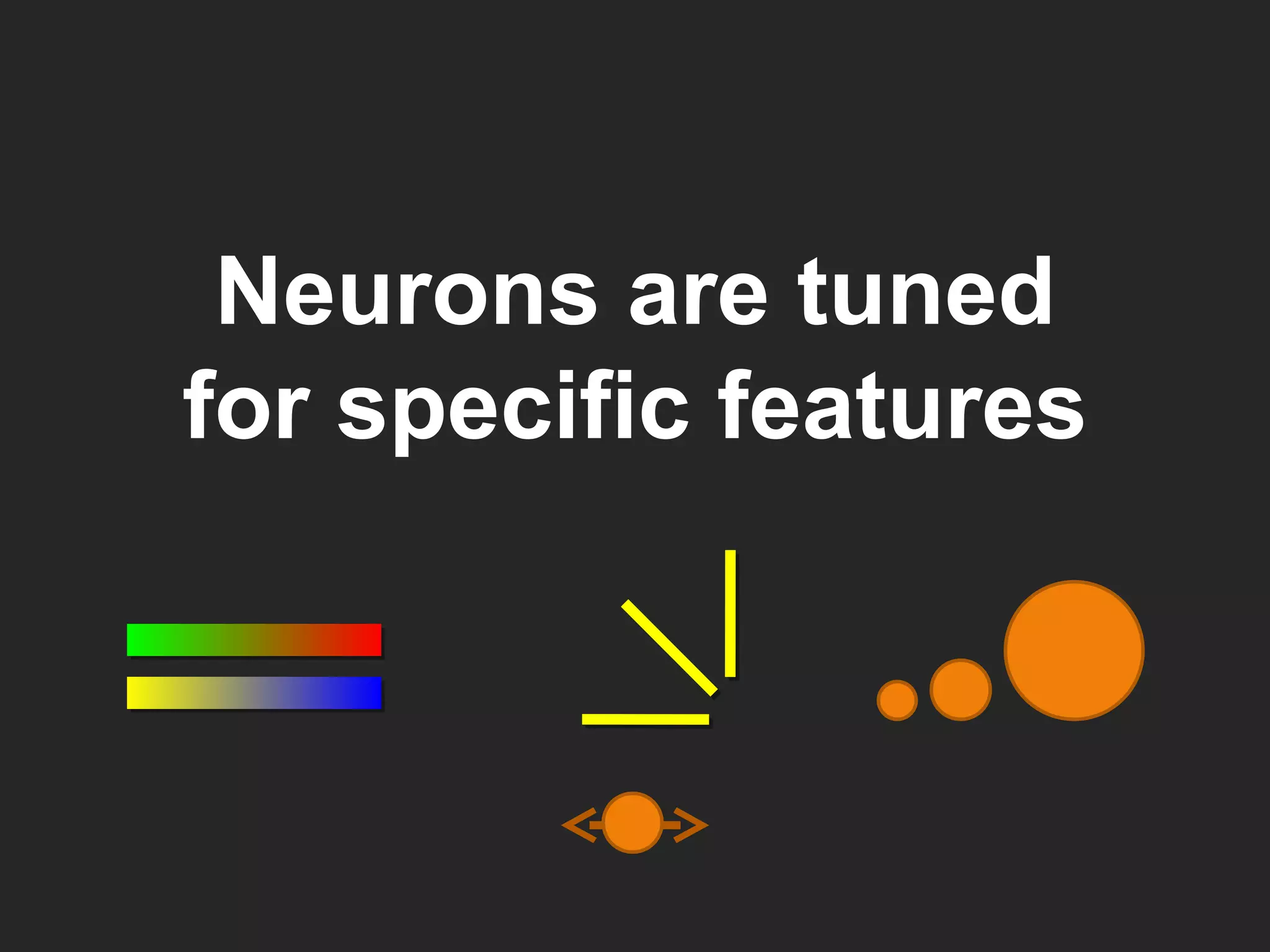 Neurons are tuned for specific features 