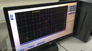 © Krisjanis Rijnieks 2018 / rijnieks.com
 