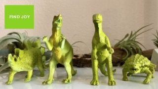 • FIND JOY
FIND JOY
 