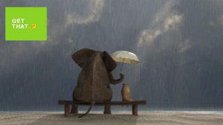 H E L P
GET
THAT 🧀
 