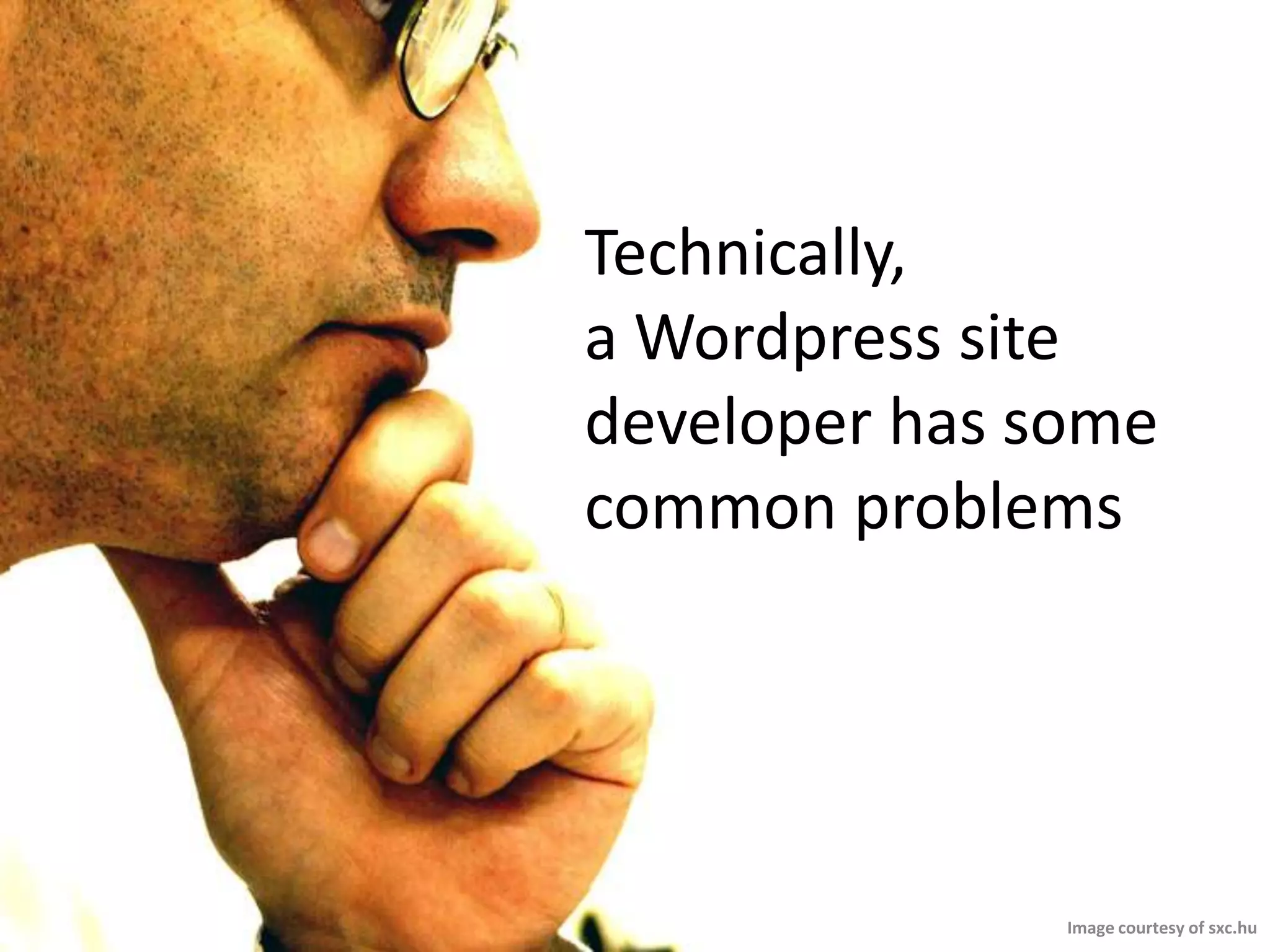 Technically, a Wordpress site developer has some common problemsImage courtesy of sxc.hu