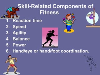 Skill-Related Components of Fitness Reaction time Speed Agility Balance Power Hand/eye or hand/foot coordination.