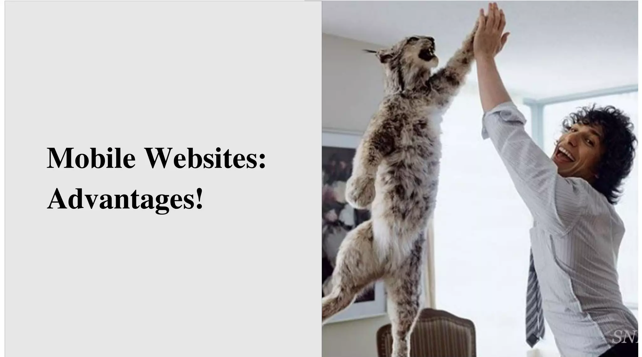 Mobile
Websites:
Advantages!

 