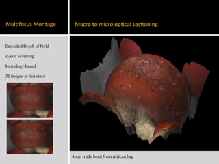 Extended Depth of Field Z-Axis Scanning Metrology-based 31 images in this stack 4mm trade bead from African bag 