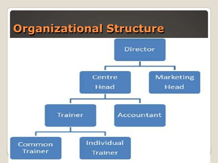 Gym Organizational Chart
