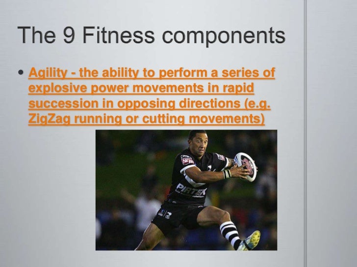 Fitness Components Fitness Components