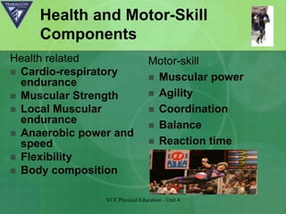 Muscular Strength Component Fitness components | PPTX