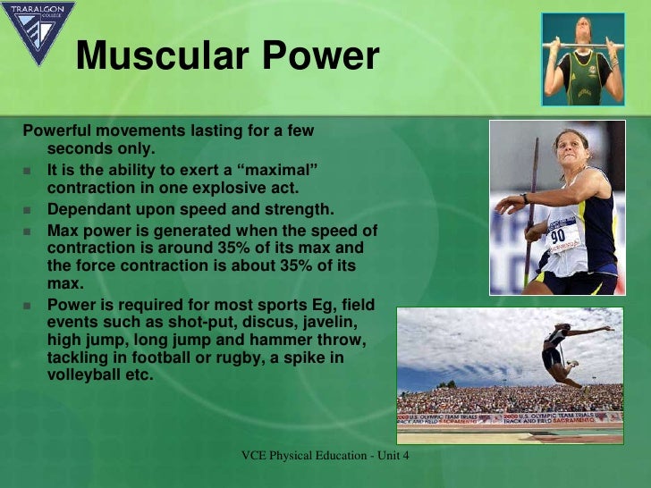 Fitness components