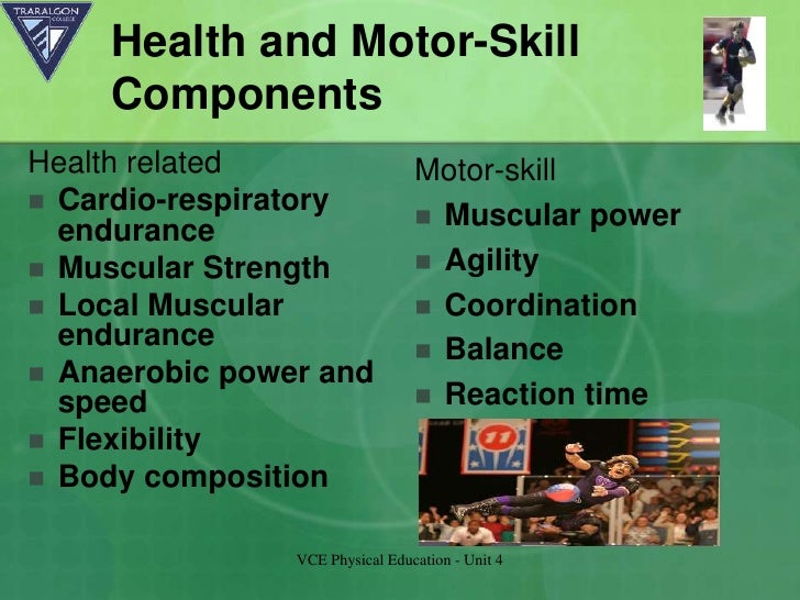 4 health components of fitness