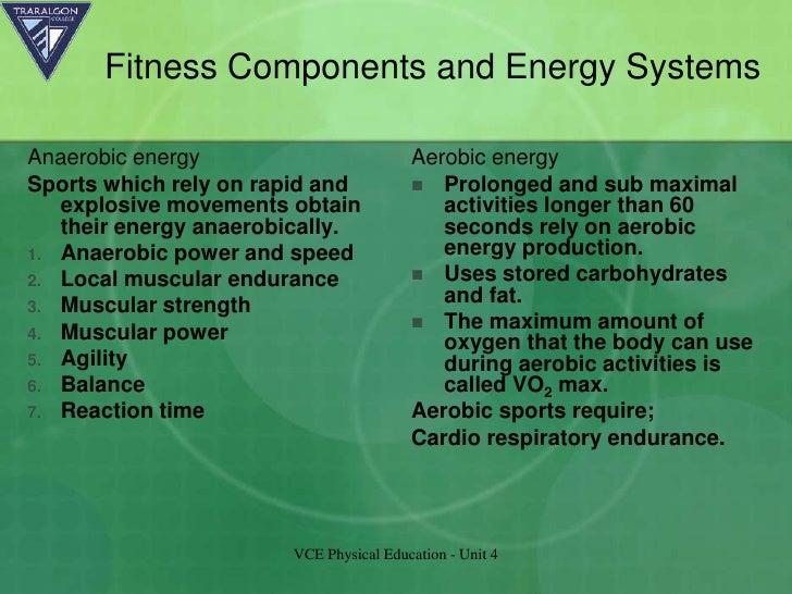 Fitness components