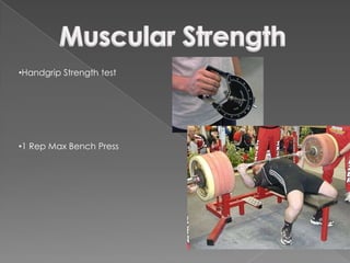 •Handgrip Strength test




•1 Rep Max Bench Press
 