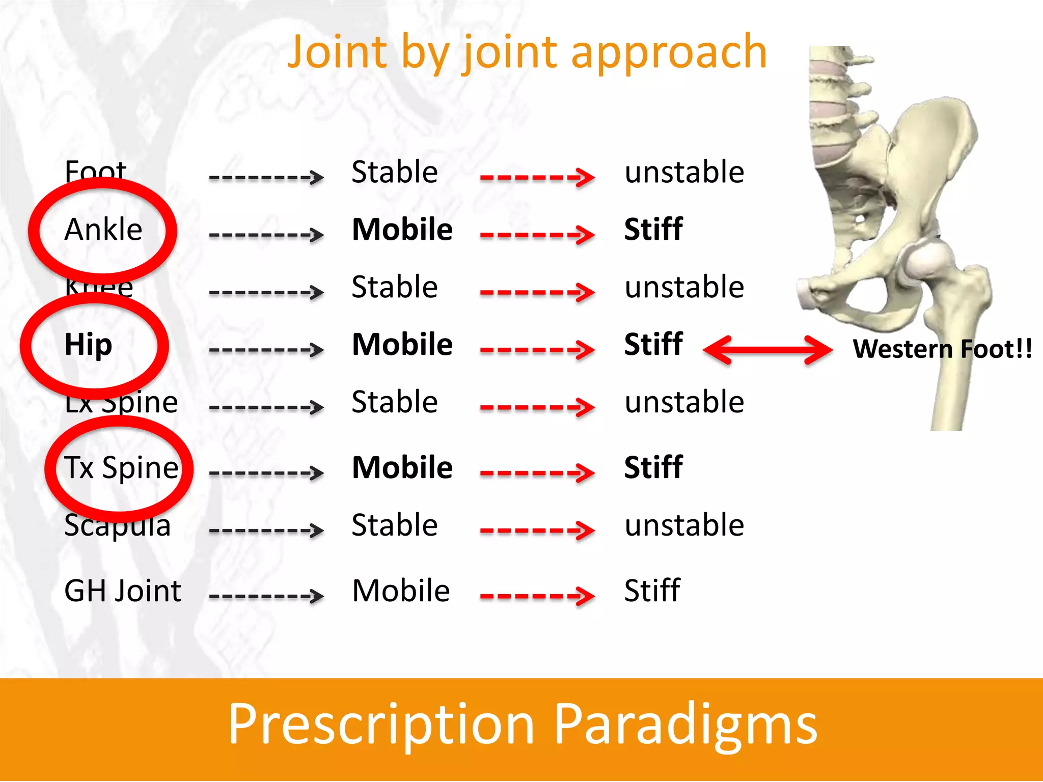 Joint by joint approach

Foot            Stable       unstable
Ankle           Mobile       Stiff
Knee            Stable       unstable
Hip             Mobile       Stiff      Western Foot!!
Lx Spine        Stable       unstable
Tx Spine        Mobile       Stiff
Scapula         Stable       unstable
GH Joint        Mobile       Stiff



           Prescription Paradigms
 