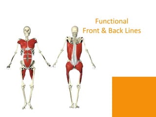 Functional
Front & Back Lines
 