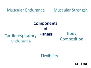 Components
of
Fitness
Muscular Endurance Muscular Strength
Flexibility
Body
Composition
Cardiorespiratory
Endurance
ACTUAL
 