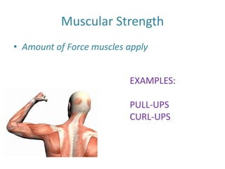 Muscular Strength
• Amount of Force muscles apply
EXAMPLES:
PULL-UPS
CURL-UPS
 