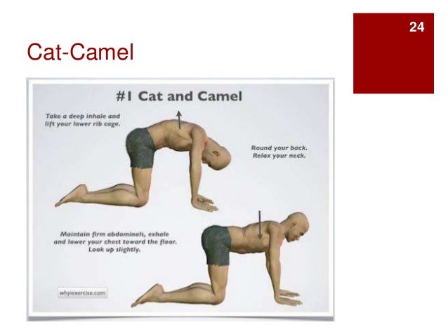 Fitness program