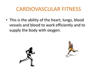 Fitness Testing | PPTX