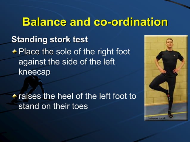 Fitness testing in sports | PPT | Bodybuilding | Sports