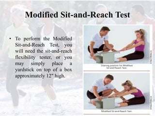Modified Sit-and-Reach Test
• To perform the Modified
Sit-and-Reach Test, you
will need the sit-and-reach
flexibility tester, or you
may simply place a
yardstick on top of a box
approximately 12" high.
 