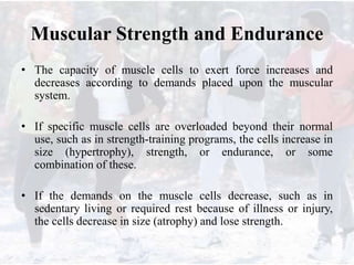 Muscular Strength and Endurance
• The capacity of muscle cells to exert force increases and
decreases according to demands placed upon the muscular
system.
• If specific muscle cells are overloaded beyond their normal
use, such as in strength-training programs, the cells increase in
size (hypertrophy), strength, or endurance, or some
combination of these.
• If the demands on the muscle cells decrease, such as in
sedentary living or required rest because of illness or injury,
the cells decrease in size (atrophy) and lose strength.
 