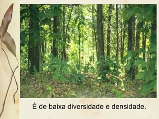 É de baixa diversidade e densidade.
 