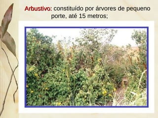 Arbustivo:Arbustivo: constituído por árvores de pequeno
porte, até 15 metros;
 