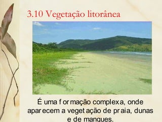 3.10 Vegetação litorânea
É uma f ormação complexa, onde
aparecem a veget ação de praia, dunas
e de mangues.
 