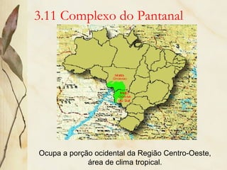 3.11 Complexo do Pantanal
Ocupa a porção ocidental da Região Centro-Oeste,
área de clima tropical.
 