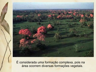 É considerada uma formação complexa, pois na
área ocorrem diversas formações vegetais.
 