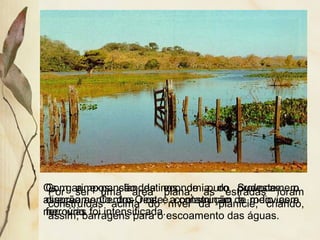 Por ser uma área plana, as estradas foram
construídas acima do nível da planície, criando,
assim, barragens para o escoamento das águas.
Os garimpos clandestinos de ouro provocam o
assoreamento dos rios e contaminam o meio com
mercúrio.
Com a expansão da economia do Sudeste em
direção ao Centro-Oeste, a construção de rodovias e
ferrovias foi intensificada.
 