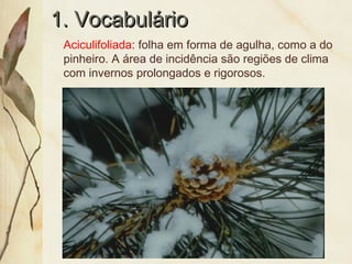 1. Vocabulário1. Vocabulário
Aciculifoliada: folha em forma de agulha, como a do
pinheiro. A área de incidência são regiões de clima
com invernos prolongados e rigorosos.
 
