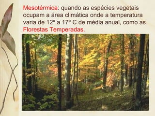 Mesotérmica: quando as espécies vegetais
ocupam a área climática onde a temperatura
varia de 12º a 17º C de média anual, como as
Florestas Temperadas.
 