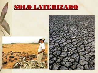 SOLO LATERIZADOSOLO LATERIZADO
 