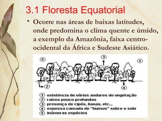 3.1 Floresta Equatorial
• Ocorre nas áreas de baixas latitudes,
onde predomina o clima quente e úmido,
a exemplo da Amazônia, faixa centro-
ocidental da África e Sudeste Asiático.
 