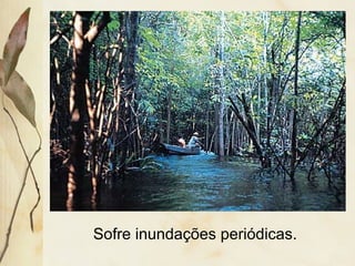 Sofre inundações periódicas.
 
