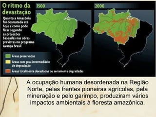 A ocupação humana desordenada na Região
Norte, pelas frentes pioneiras agrícolas, pela
mineração e pelo garimpo, produziram vários
impactos ambientais à floresta amazônica.
 