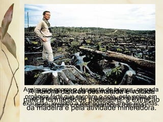 A maioria da área desmatada é voltada
para a formação de pastagens, a extração
da madeira e pela atividade mineradora.
Assim que ocorre o desgaste do húmus, camada
orgânica fértil que recobre o solo, este entra em
exaustão, levando à formação de áreas erodidas.
A atividade agrícola não considera os solos
pobres e lixiviados, e que ocasionalmente
apresentam crostas lateríticas (cangas).
 