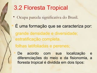 3.2 Floresta Tropical
• Ocupa parcela significativa do Brasil.
 De acordo com sua localização e
diferenciações do meio e da fisionomia, a
floresta tropical é dividida em dois tipos:
 É uma formação que se caracteriza por:
grande densidade e diversidade;
folhas latifoliadas e perenes;
estratificação completa.
 
