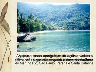 Algumas manchas podem ser ainda observadas no
litoral sul baiano e nas encostas íngremes da Serra
do Mar, no Rio, São Paulo, Paraná e Santa Catarina.
Veja no mapa a seguir, a situação da mata
atlântica, no que diz respeito a área desmatada.
 