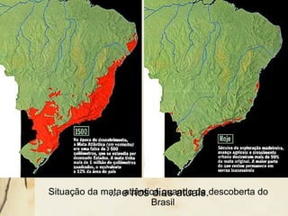 Situação da mata atlântica quando da descoberta do
Brasil
... e nos dias atuais.
 