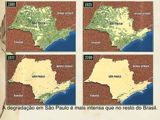 A degradação em São Paulo é mais intensa que no resto do Brasil.
 