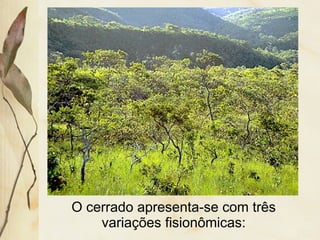 O cerrado apresenta-se com três
variações fisionômicas:
 