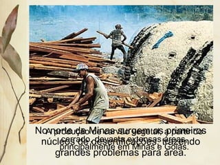 A produção de carvão vegetal, a partir do
cerrado, devasta extensas áreas,
principalmente em Minas e Goiás.
No norte de Minas surgem os primeiros
núcleos de desertificações, trazendo
grandes problemas para área.
 