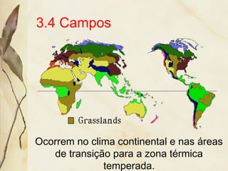3.4 Campos
Ocorrem no clima continental e nas áreas
de transição para a zona térmica
temperada.
 
