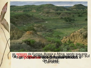 As principais áreas campestres são:os pampas argentinos e uruguaios e do sul
do Brasil;
as pradarias dos Estados Unidos e
Canadá;
as estepes da Europa, Rússia e África, sendo que esta
última é seca, de área semi-árida.
 