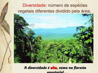 Diversidade: número de espécies
vegetais diferentes dividido pela área.
A diversidade éA diversidade é altaalta, como na floresta, como na floresta
 