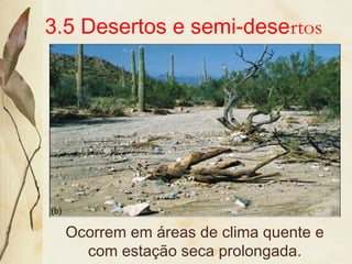 3.5 Desertos e semi-desertos
Ocorrem em áreas de clima quente e
com estação seca prolongada.
 